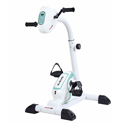 Everfit Welly-E Combi - Cyclette Da Allenamento