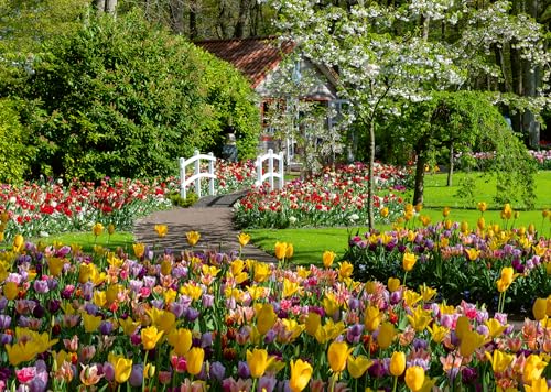 Ravensburger - Puzzle Keukenhof Gardens Paesi Bassi, 1000 Pezzi, Puzzle Paesaggi Per Adulti E Ragazzi, Idea Regalo Per Lei O Lui, 70X50 Cm
