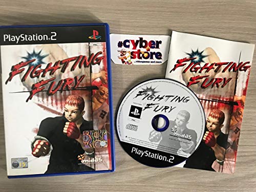 Fighting Fury