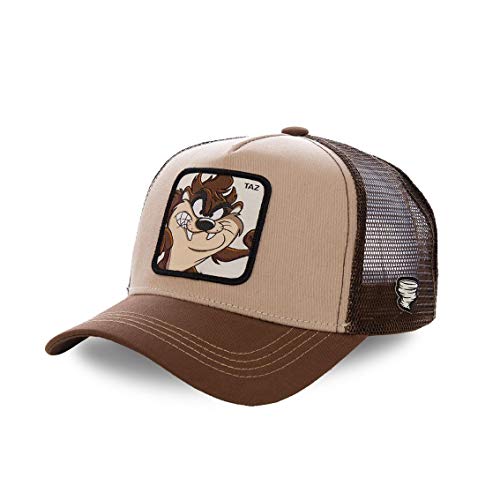Casquette Taz Looney Tunes Marron Enfant