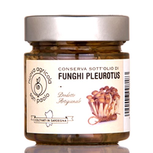 Funghi Pleurotus Sott' Olio 230Gr Prodotto Artigianale Sardo