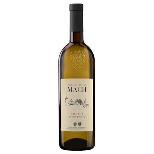 Pinot Grigio Trentino 2023 Fondazione E. Mach