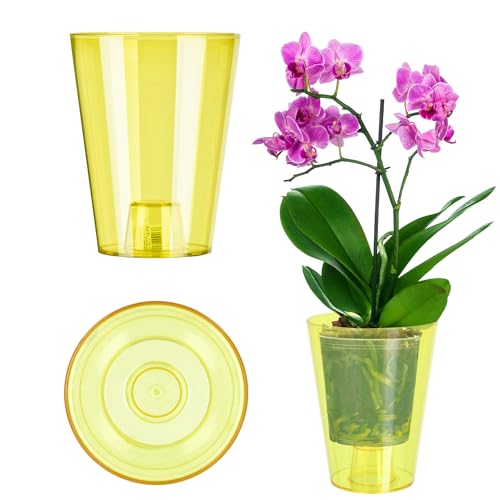 Kadax Flowerpot, Slim Orchid Pot, Semplice Fioriera, Secchio Di Fiori Per Orchidea, Erba Da Ragazzo, Margherite, Trama Per Cucina E Soggiorno (⌀ 12 Cm
