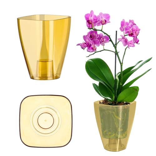 Kadax Flowerpot, Slim Orchid Pot, Semplice Fioriera, Secchio Di Fiori Per Orchidea, Erba Da Ragazzo, Margherite, Trama Per Cucina E Soggiorno (⌀ 9 Cm,