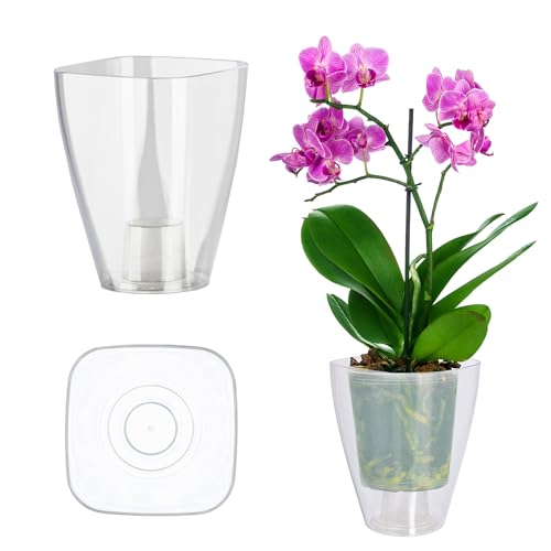 Kadax Flowerpot, Slim Orchid Pot, Semplice Fioriera, Secchio Di Fiori Per Orchidea, Erba Da Ragazzo, Margherite, Trama Per Cucina E Soggiorno (⌀ 12 Cm