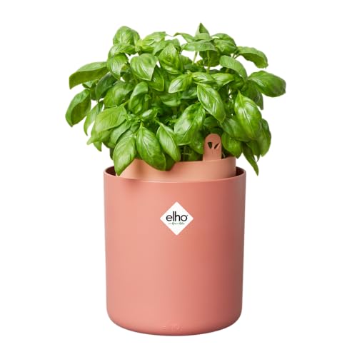 Elho Bouncy Basil 16 Vaso Da Fiori – Vaso Di Basilico – Vaso Per Erbe Aromatiche In 100% Plastica Riciclata – Ø 16,5 X 21,0 Cm – Marrone/Toffee Terra