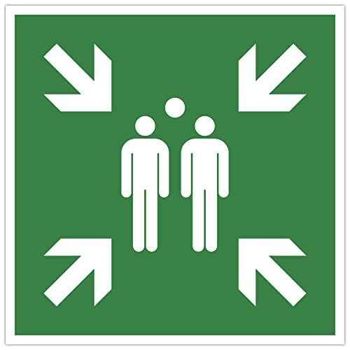Exacompta - Ref. 67120E - 1 Pannello Adesivo Rally Point - In Vinile Antiscivolo E Resistente Ai Raggi Uv - Diametro Pannello : 30 Cm - Colore : Verde