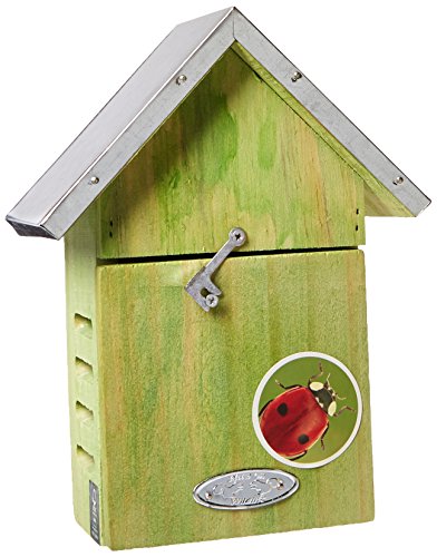 Ladybug House