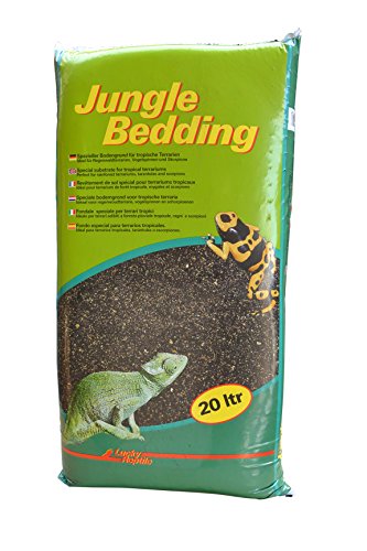 Lucky Reptile, Fondo In Stile Jungla