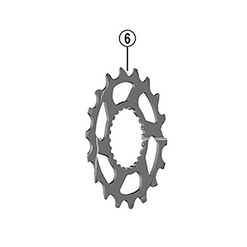 Shimano Cs-M8100, Pignone Unisex Adulto, Standard, Taglia Unica