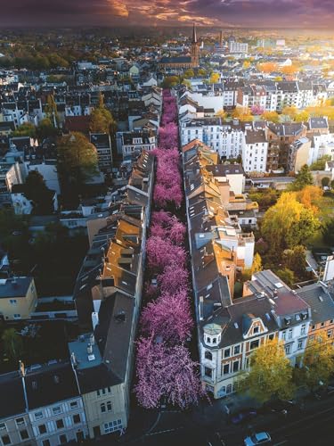 Ravensburger 12000730 - Bonn In Fiore - Puzzle 1500 Pezzi – Puzzle Adulti E Ragazzi Da 14 Anni, Puzzle Fiori