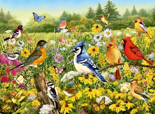 Ravensburger 12000336 - Uccelli Nel Prato - Puzzle 500 Pezzi – Puzzle Adulti E Ragazzi Da 12 Anni, Puzzle Animali
