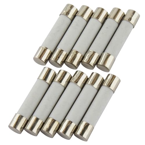 Seki, Confezione Da 10 Fusibili In Ceramica, 0,25 A (250 Ma), 6 X 30 Mm, Fusibili In Vetro, 250 V