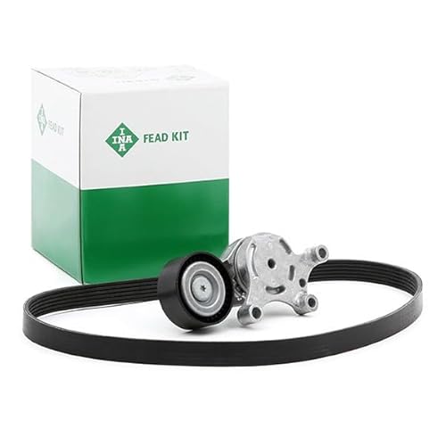 Ina 529 0261 10 Cinghia Di Distribuzione