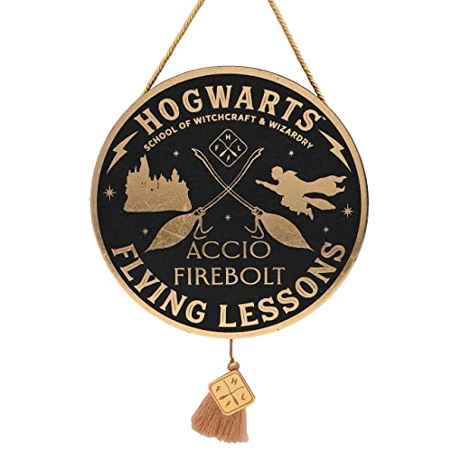 Warner Bros Harry Potter Alumni Ciondolo Lezione Di Volo