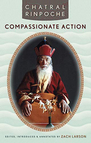 Compassionate Action (English Edition)