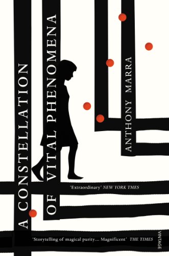 A Constellation Of Vital Phenomena (English Edition)