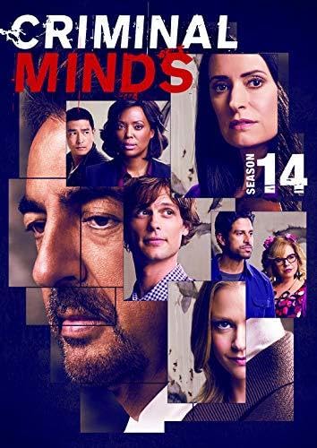 Criminal Minds: Fourteenth Season (4 Dvd) [Edizione: Stati Uniti]