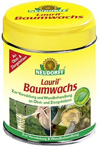 Lauril Albero Cera – 125 G
