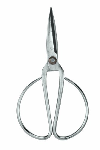 Paderno World Cuisine Forbici Per Carne In Acciaio Inox, Lunghezza 16,5 Cm