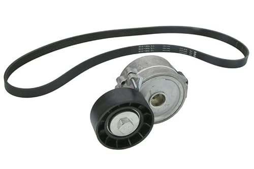Ina Kit Cinghie Poly-V Ford Kuga 14> 529031510