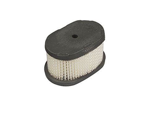 Filtro Dell'Aria P.F B&S 497725