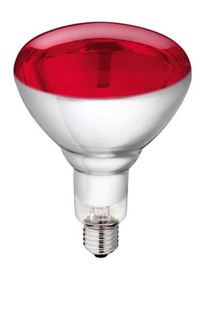 Philips IR Infrared 250W  230V E27 BR125 Lampada Infrarosso