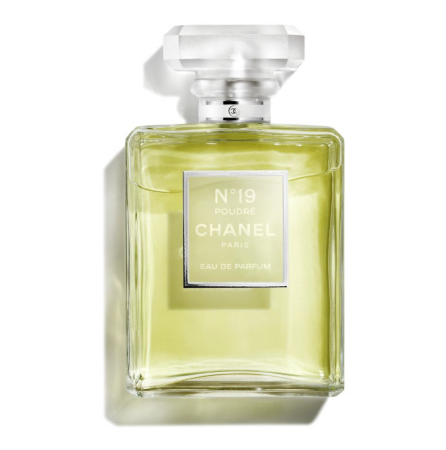 CHANEL N°19 Eau De Parfum POUDRE vaporizzatore spray 100 ml