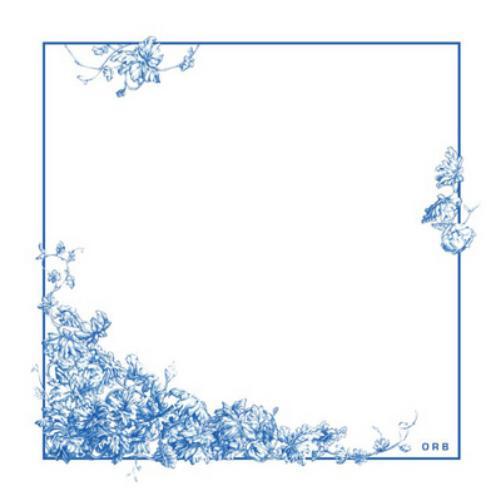 The Orb Naturality (CD) Album