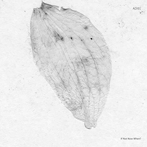 Adiel If Not Now When? 12 Inch Vinyl SA036 NEW