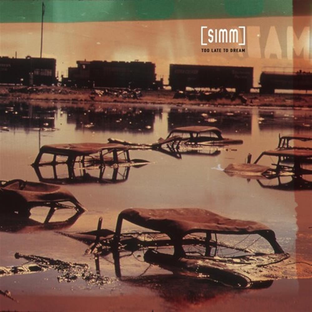 Too Late To Dream - Simm (Audio Cd)