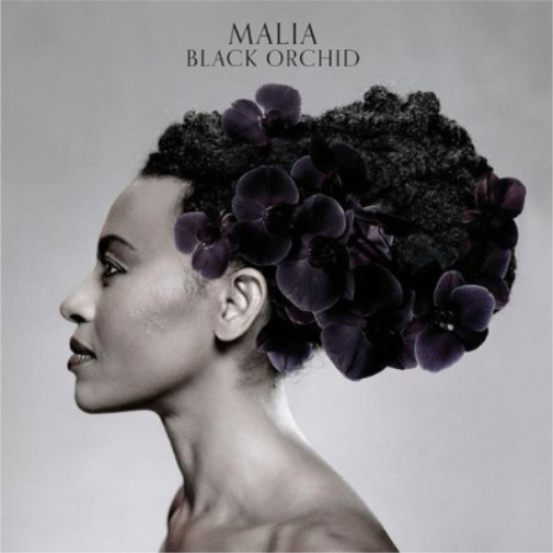 Malia Black Orchid (CD) Album