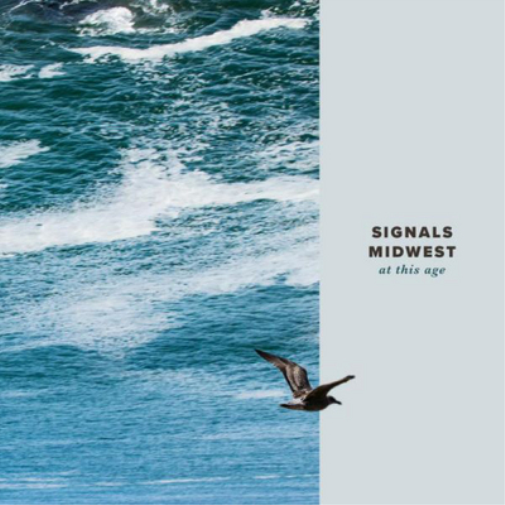 Signals Midwest At This Age (Vinyl LP) 12" Album