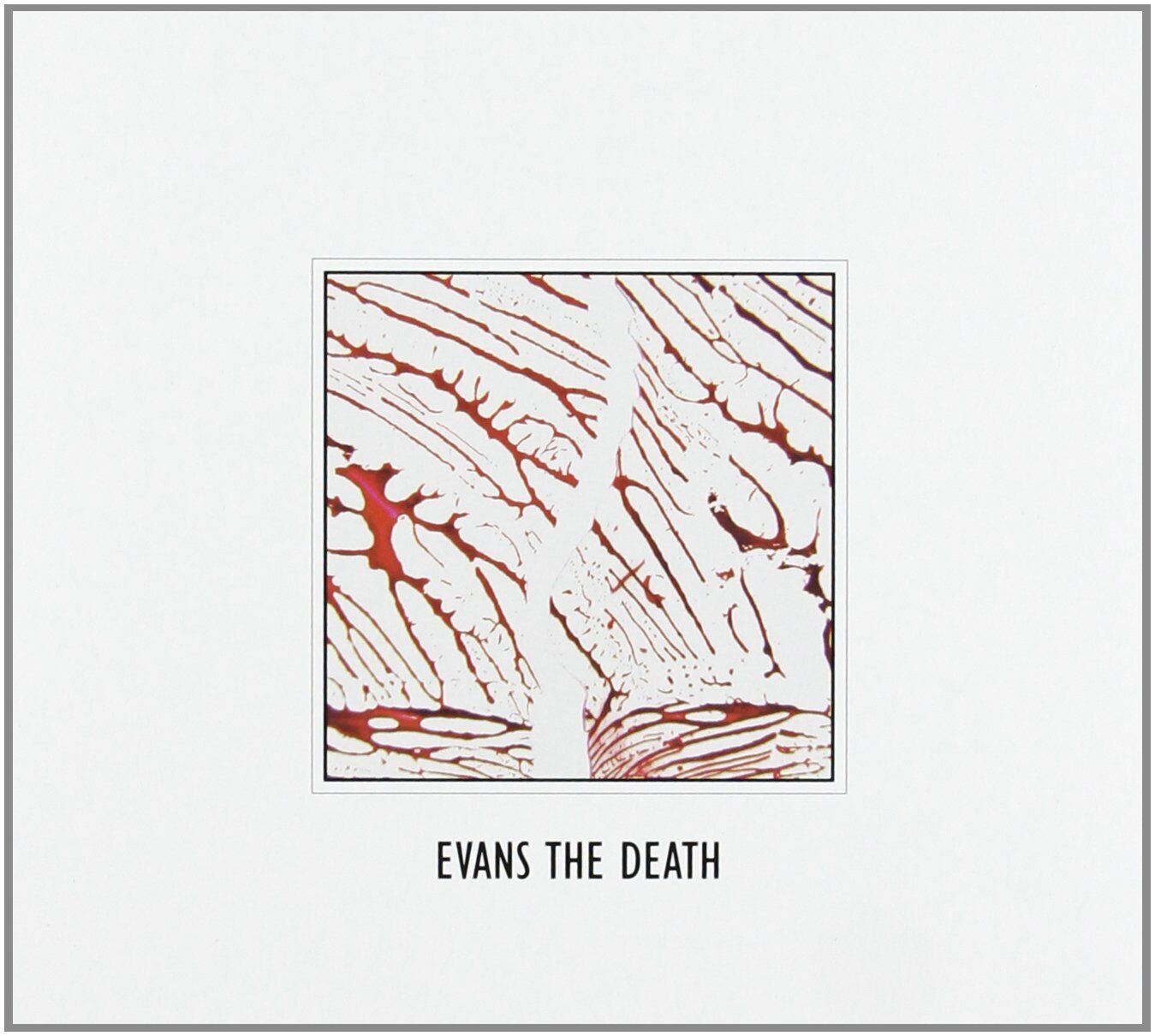 Evans the Death Evans the Death (CD)