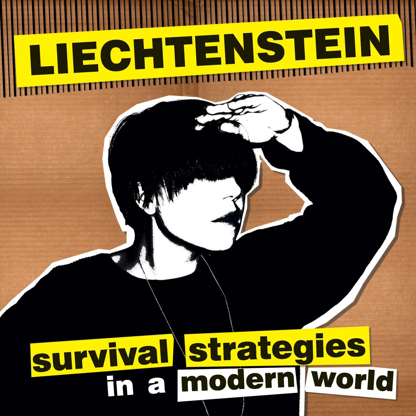 Liechtenstein Survival Strategies In A Modern World (CD)