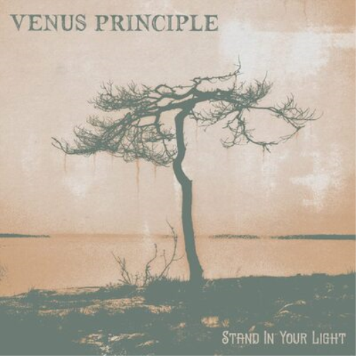 Venus Principle Stand in Your Light (Vinyl LP)