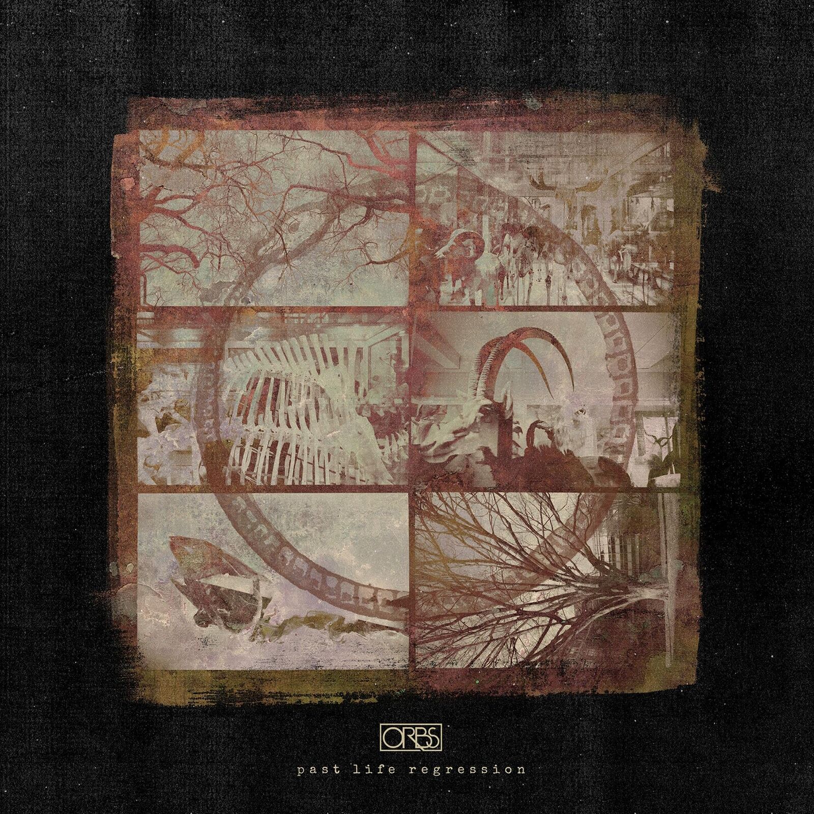 Orbs Past Life Regression (CD)