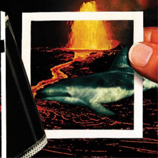 The Thermals We Disappear (Vinyl LP) 12" Album