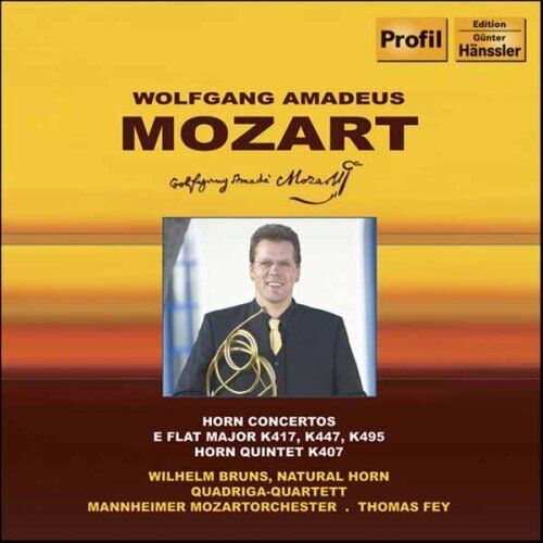Bruns/Fey/Mannh. Mozartorch. Horn Concertos (Fey, Bruns, Quatuor Quadriga) (CD)