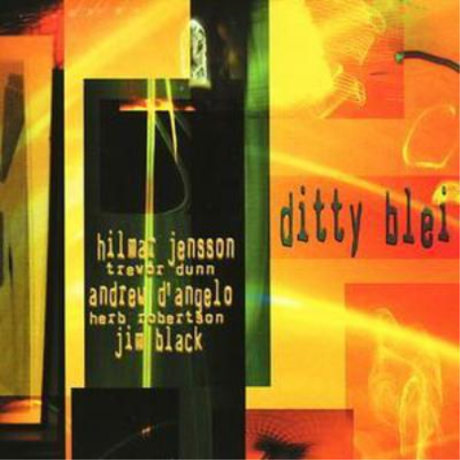 Hilmar Jensson Ditty Blei (CD) Album