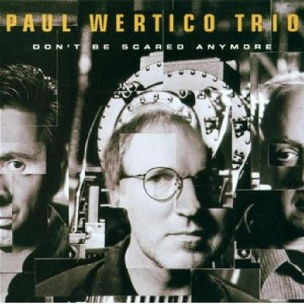 Don'T Be Scared Anymore - Paul Wertico Trio (Audio cd)
