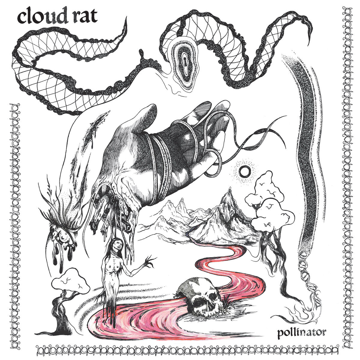 Cloud Rat Pollinator (CD) Limited  Album (Limited Edition)