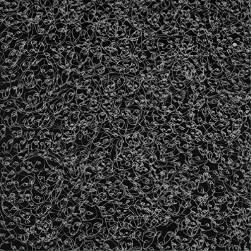 Mountain Movers Mountain Movers (Vinyl LP) Limited  12" Album