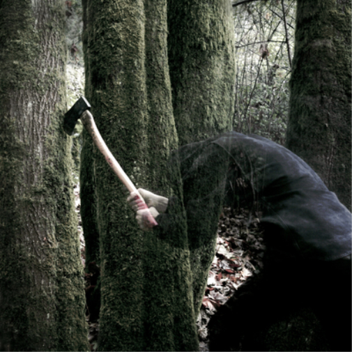 Baptists Bushcraft (CD) Album