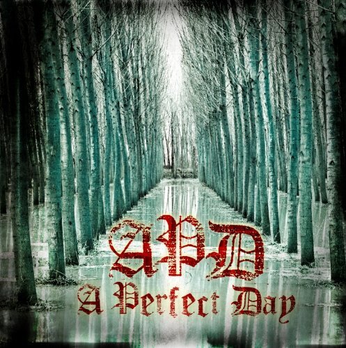 A Perfect Day A Perfect Day (CD) Album