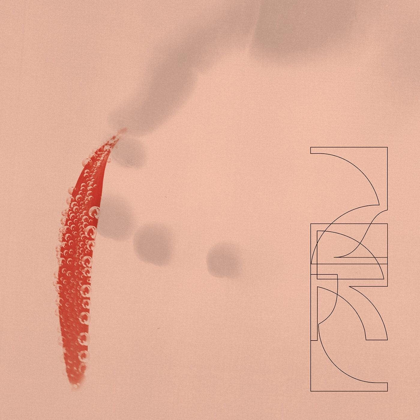 ZRL Our Savings (Vinyl LP)