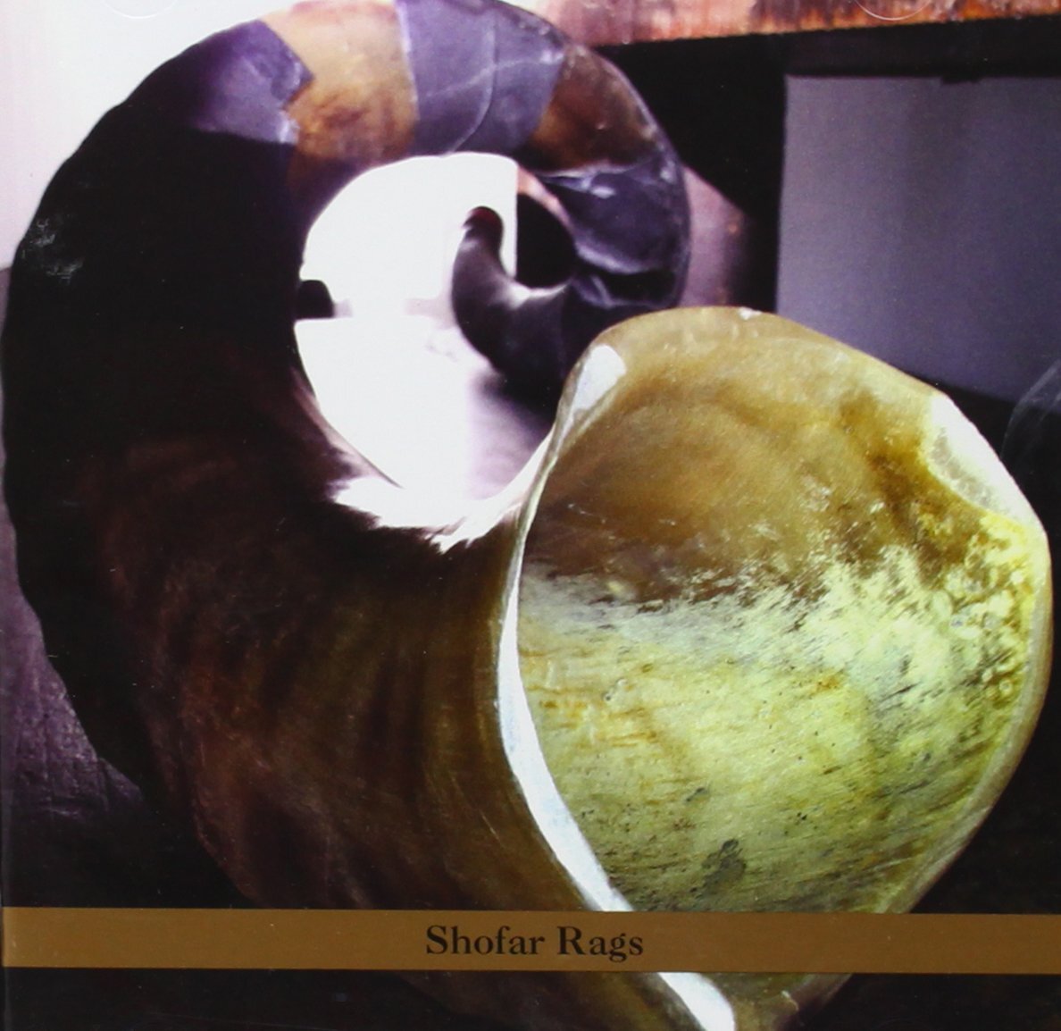 Curran, Alvin Shofar Rags (CD)