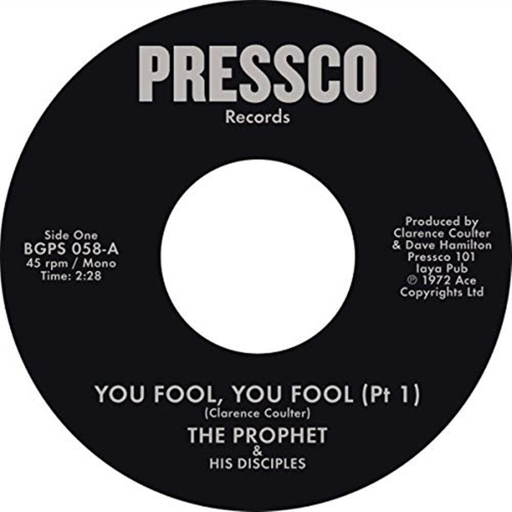 You Fool, You Fool (Pt 1) / You Fool, You Fool (Pt 2) - The Pro... (Vinile)