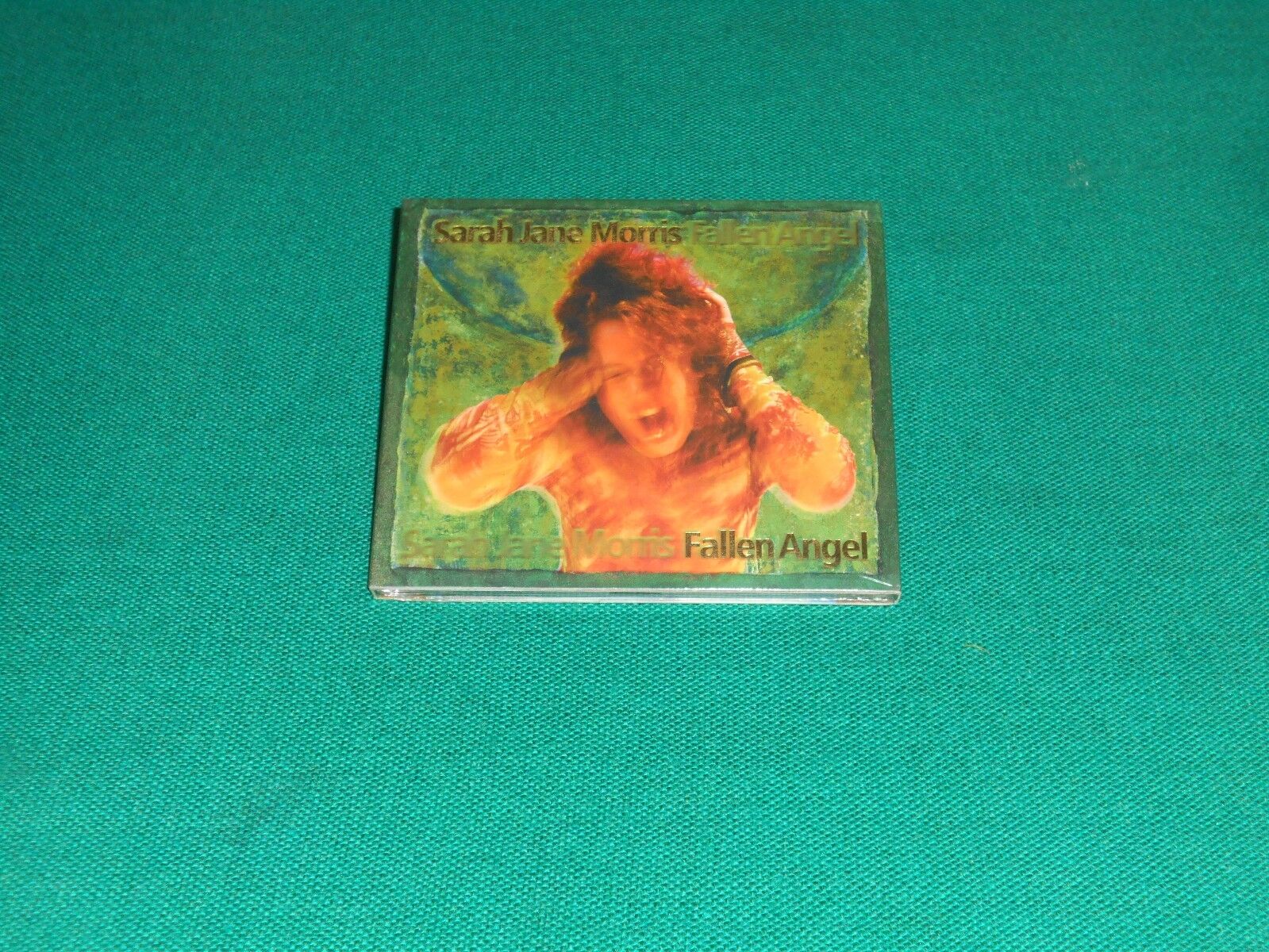 Sarah Jane Morris ‎– Fallen Angel