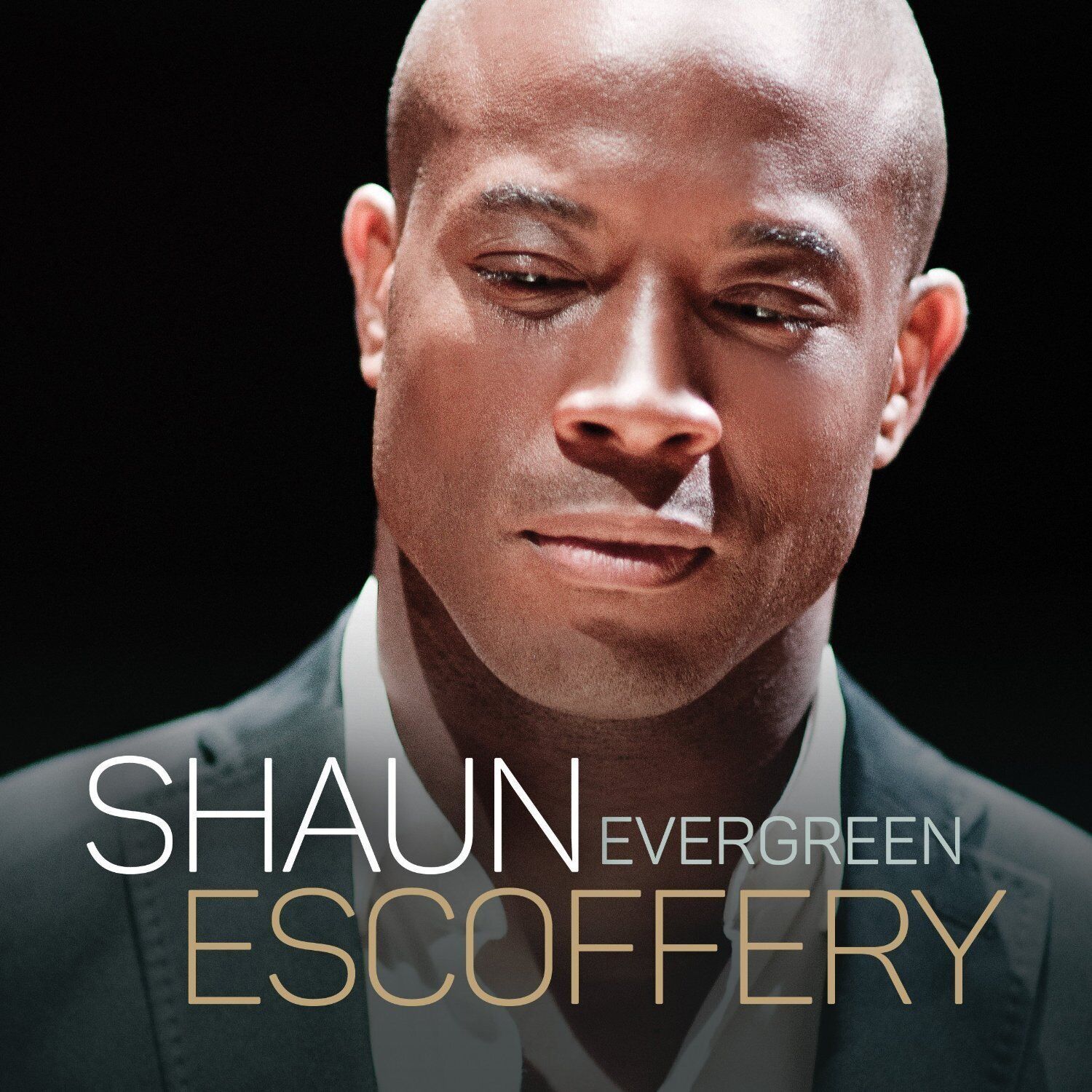 Shaun Escoffery Evergreen Double LP Vinyl NEW